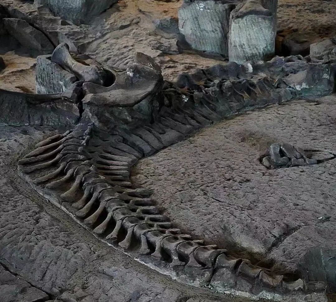 入選世界級名錄！大家幫我看看這很牛嗎？